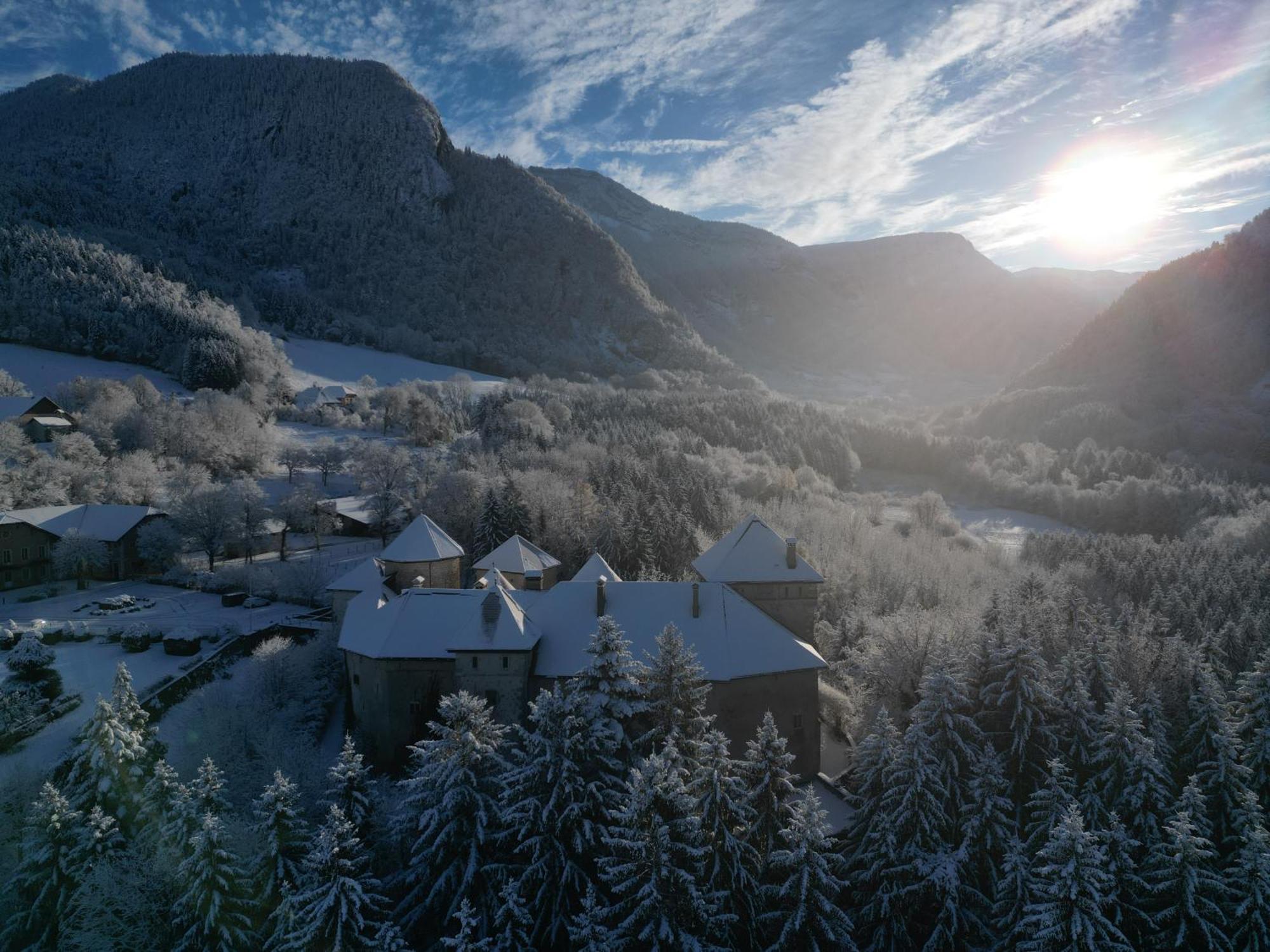 Chateau De Thorens Екстер'єр фото