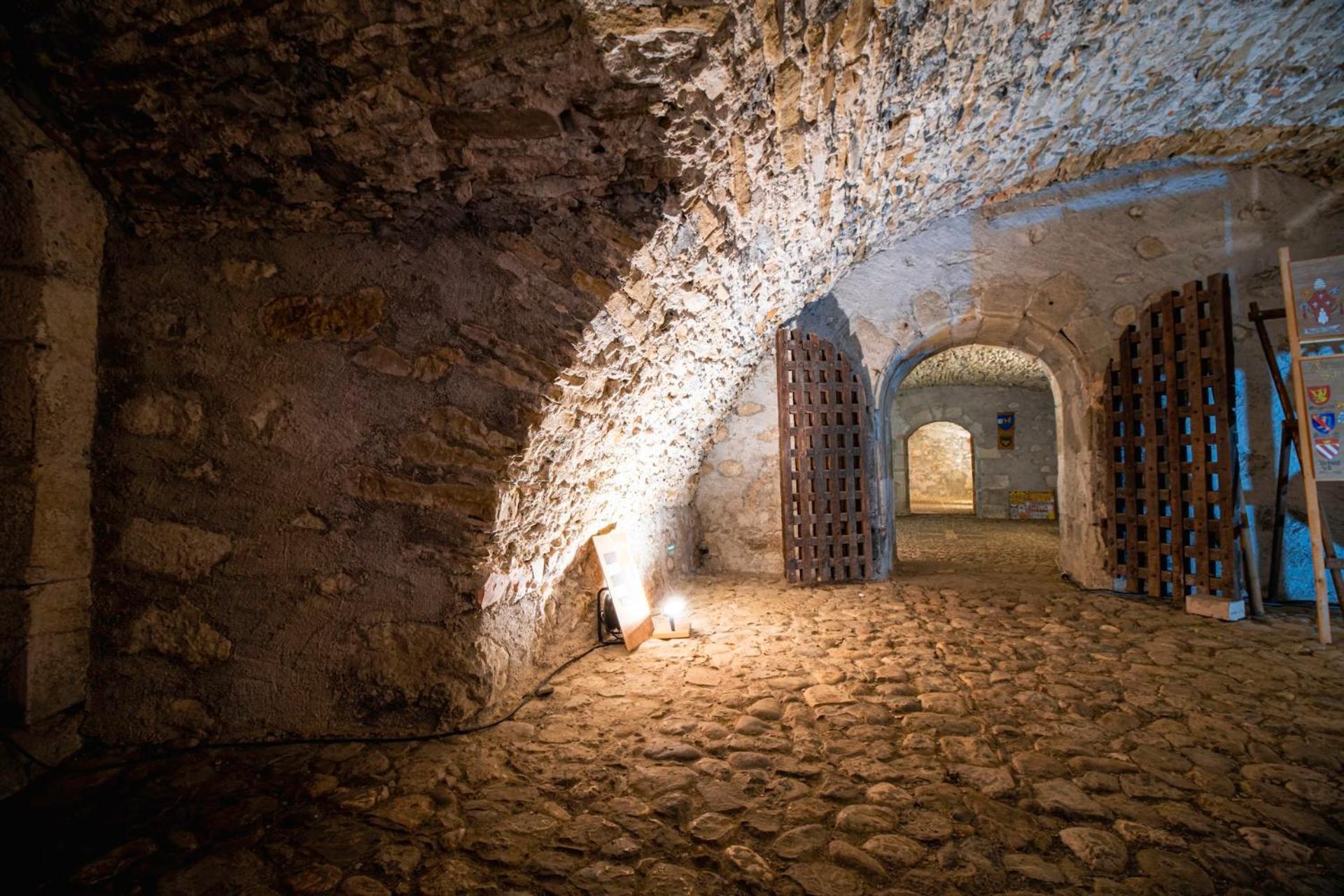 Chateau De Thorens Екстер'єр фото